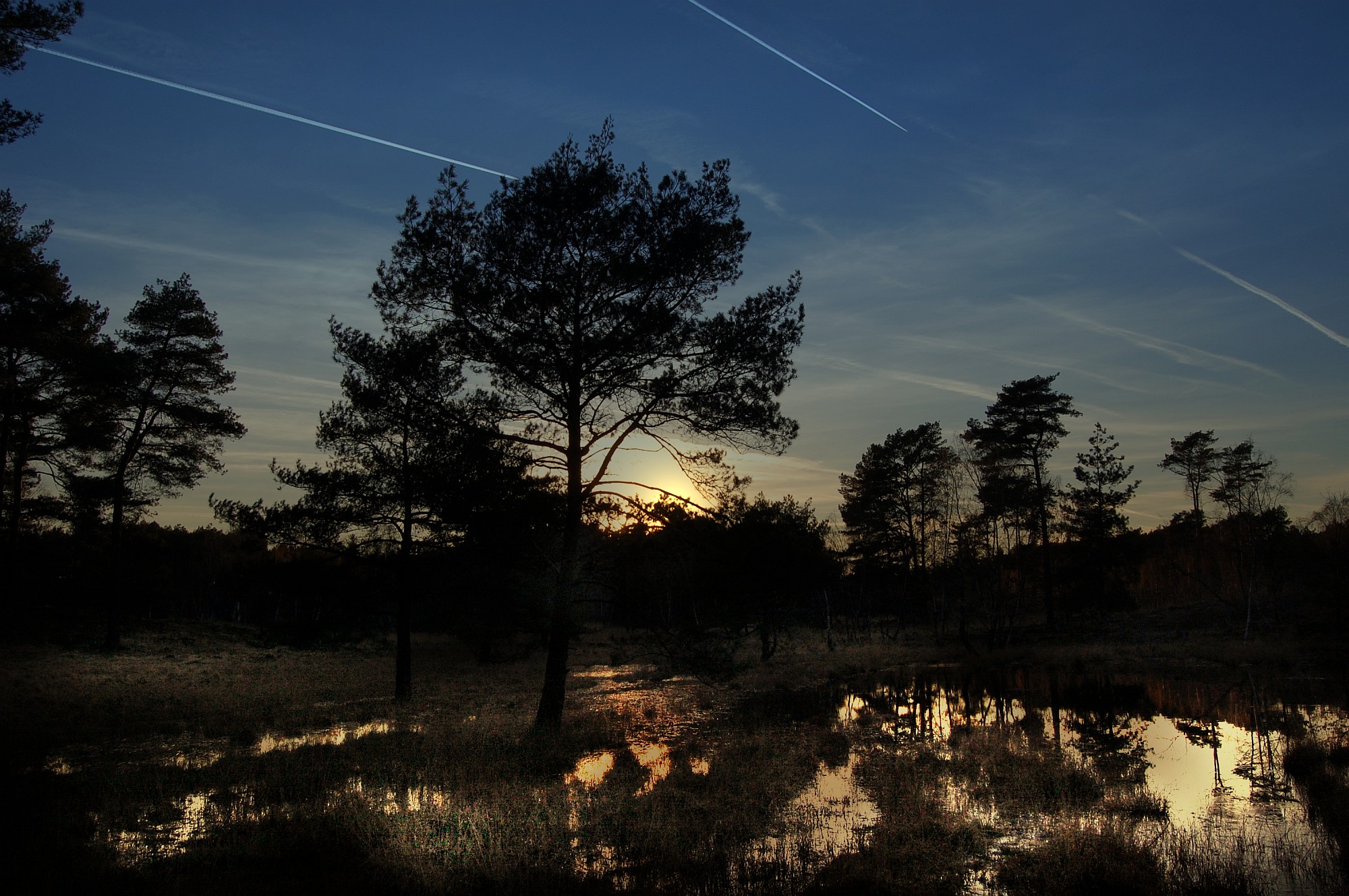 Des Mondes mildes Licht über einem Moor (c) A.Dreher/pixelio.de