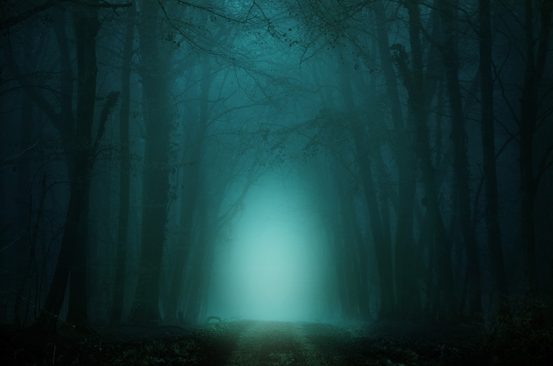Wald dunkel (c) Bild von DarkmoonArt_de auf Pixabay